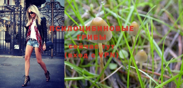 прущая мука Саяногорск