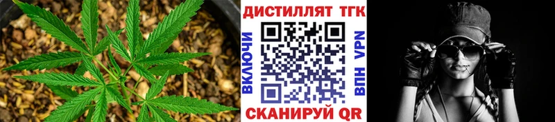 ТГК концентрат  Купить где  Ростов-на-Дону 