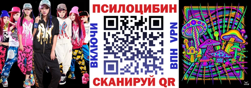 Купить закладки  Ростов-на-Дону  Псилоцибиновые грибы Cubensis 